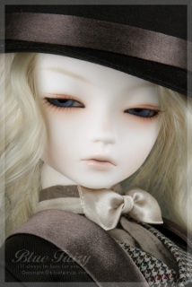 BF����̌���