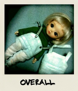 �T���y�b�g�H