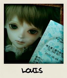 �͗l���L�����