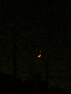 ���Ƌ�����