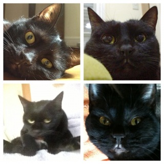 �����̂�