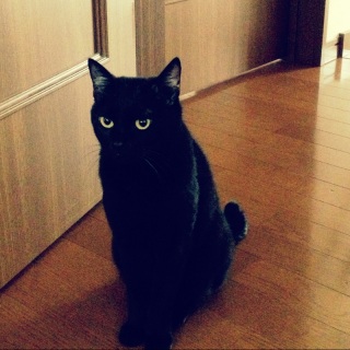 ������