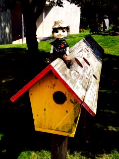 �N���}�`�X�̋u