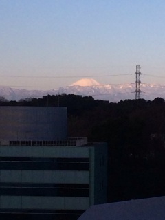 ���@���L  �l�T�ڂƎO��