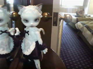 �L����͂�������