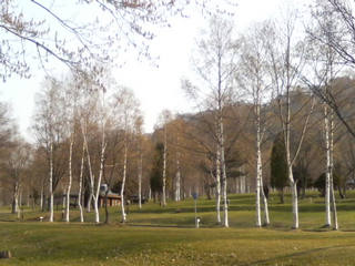 �����h�ł�����