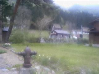 �v��������