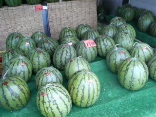 �O�Y������1500�~