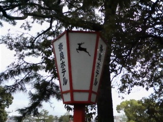 �����̂��h��