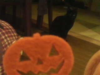 �n���E�B���摜