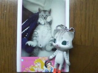 �q�j�b�L�J�X�^��